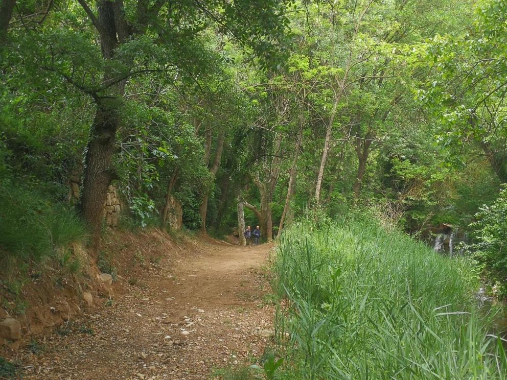 Bed and Breakfast La Casa Dels Ocells (Adults Only) Granollers de Florejacs Esterno foto