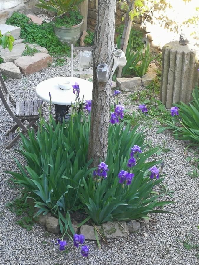 Bed and Breakfast La Casa Dels Ocells (Adults Only) Granollers de Florejacs Esterno foto